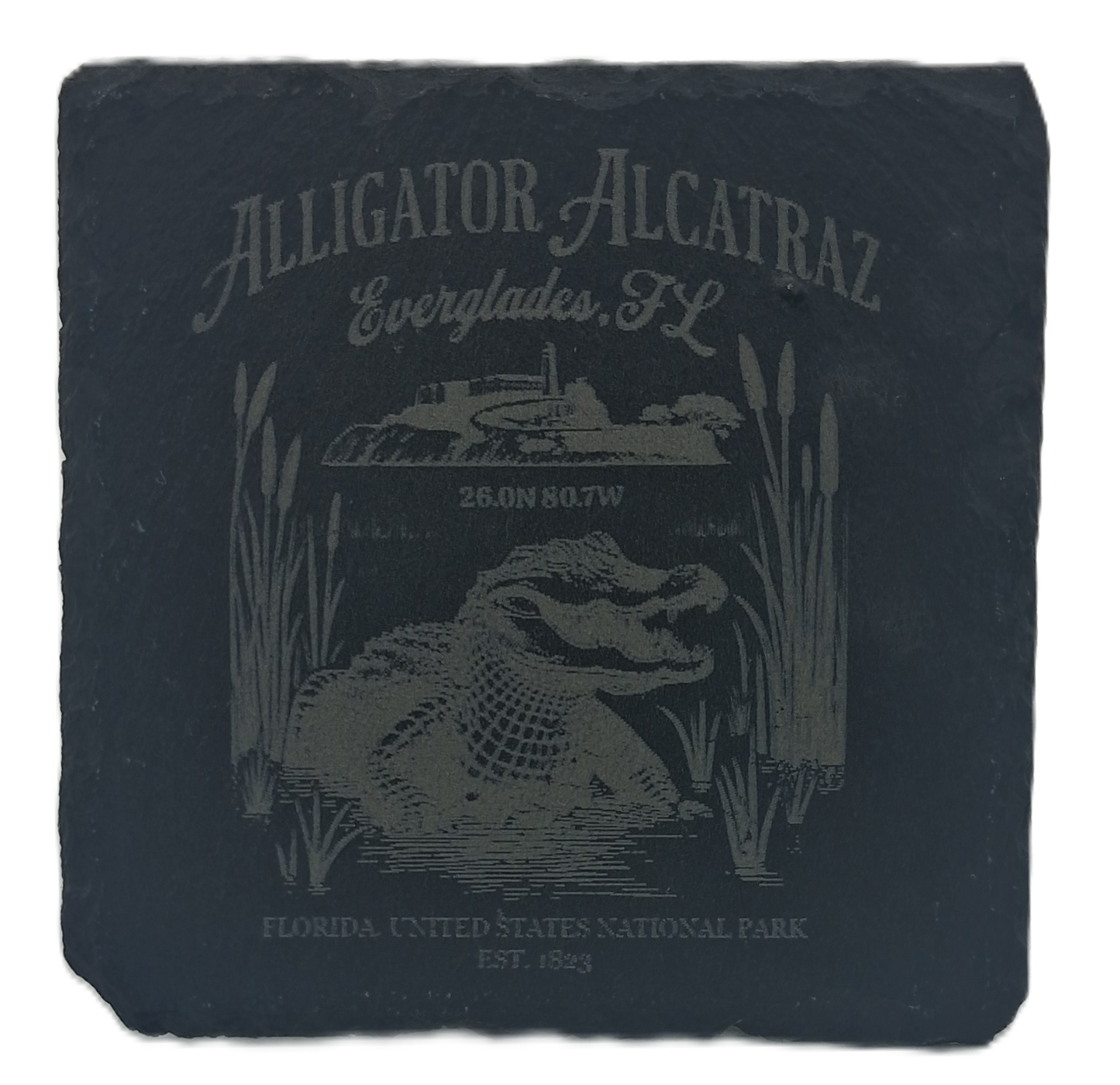 Alligator Alcatraz Slate Coasters